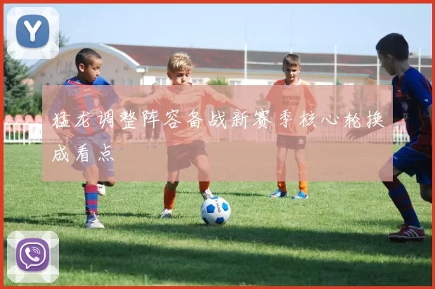 猛龙调整阵容备战新赛季核心轮换成看点