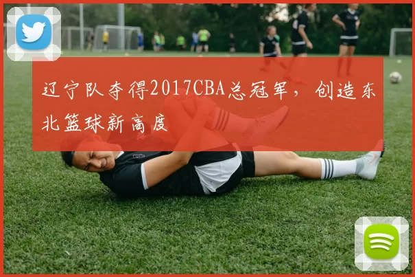 辽宁队夺得2017CBA总冠军,创造东北篮球新高度